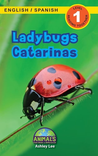 Catarinas