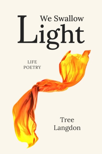 We Swallow Light Poems for Introverts and Lonely Hearts