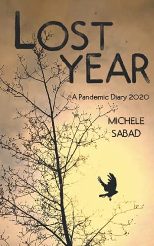 Lost Year A Pandemic Diary 2020