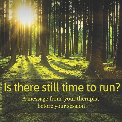 Is There Still Time to Run? A Message from Your Therapist Before Your Session