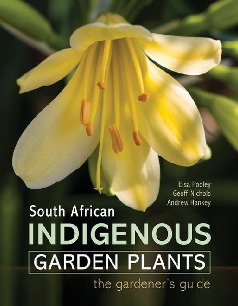 South African Indigenous Garden Plants - The gardeners guide