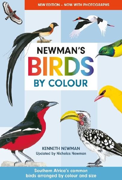 Newman's Birds by Colour: Southern Africa's Common Birds Arranged by Colour and Size