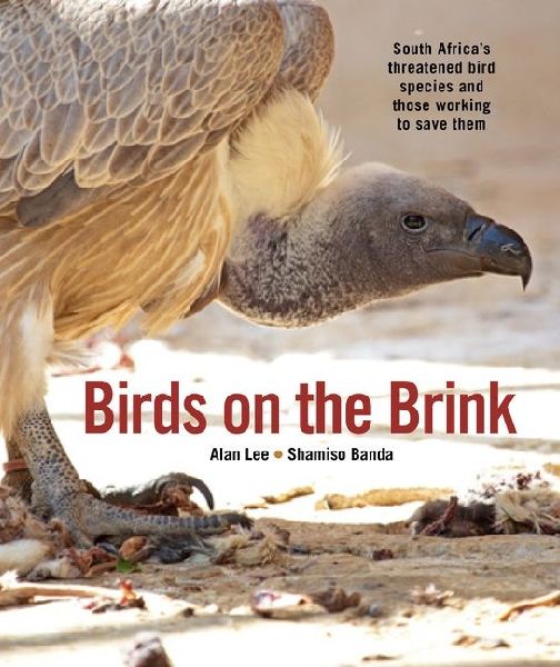 Birds on the Brink: South Africas Threatened Birds and Those Working to Save Them