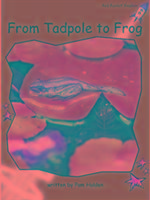 From Tadpole to Frog Big Book Edition