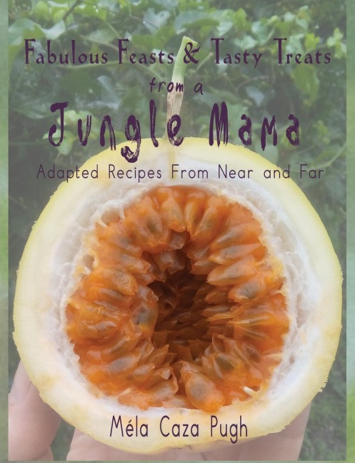 Fabulous Feasts & Tasty Treats from a Jungle Mama: Recipes Adapted from Near and Far