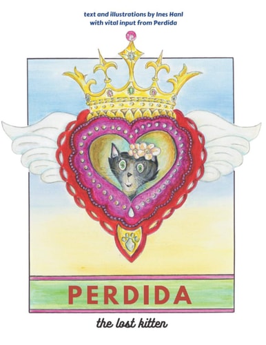 Perdida The Lost Kitten