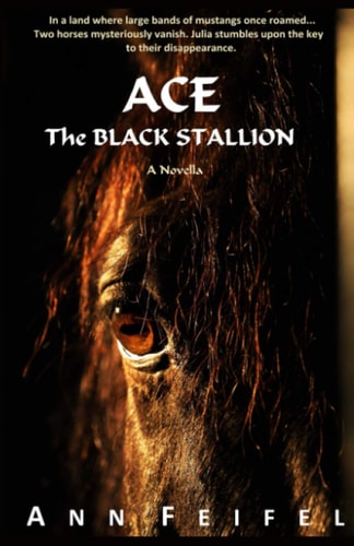Ace, The Black Stallion