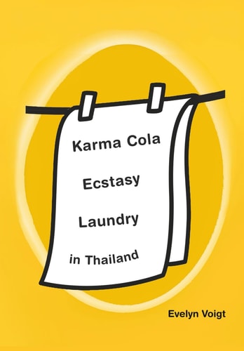 Karma Cola, Ecstasy, Laundry in Thailand: eflections from a month in Thailand, January-February 201