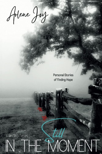 Still In The Moment Personal Stories of Finding Hope