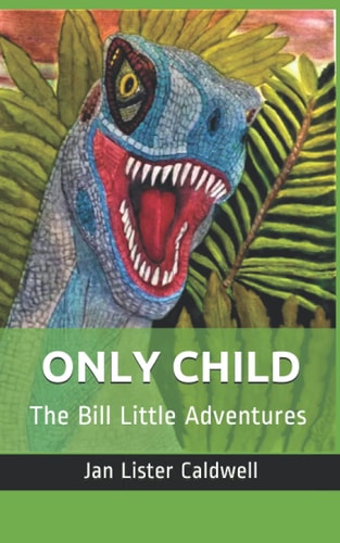 Only Child The Bill Little Adventures
