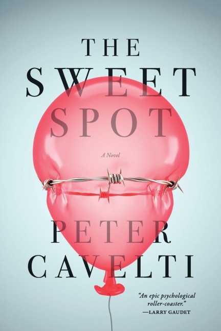 The Sweet Spot: A Novel
