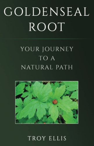 Goldenseal Root Your Journey To A Natural Path