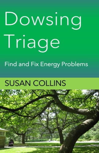 Dowsing Triage Find and Fix Energy Problems