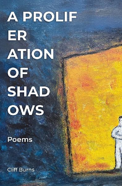 A Proliferation of Shadows