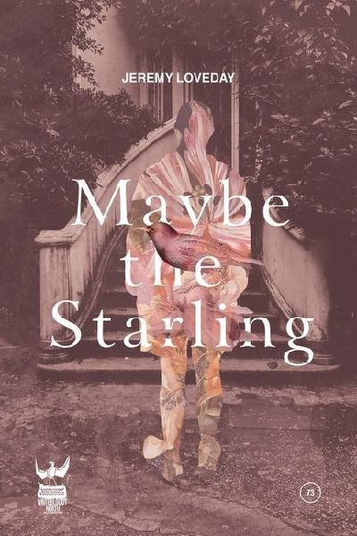 Remember the Starling
