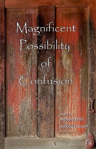 Magnificent Possibility of Confusion