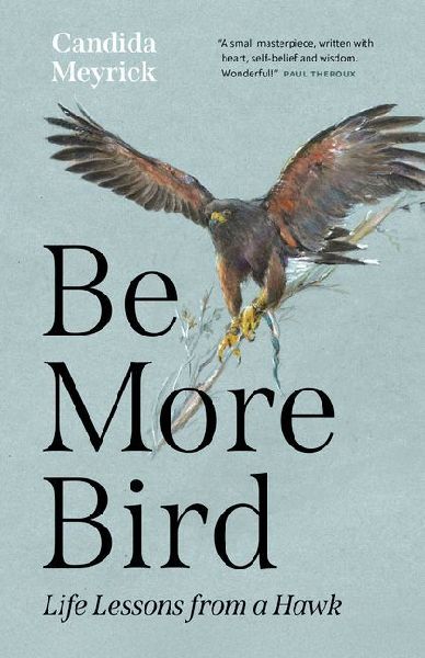 Be More Bird: Life Lessons from a Hawk