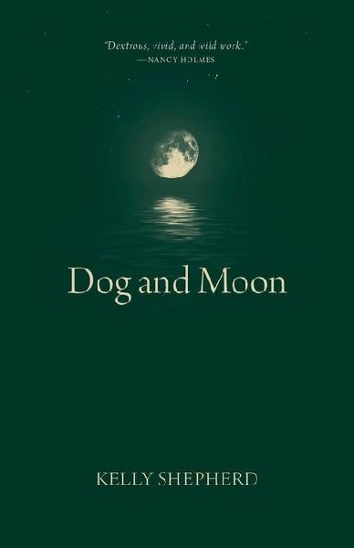 Dog and Moon