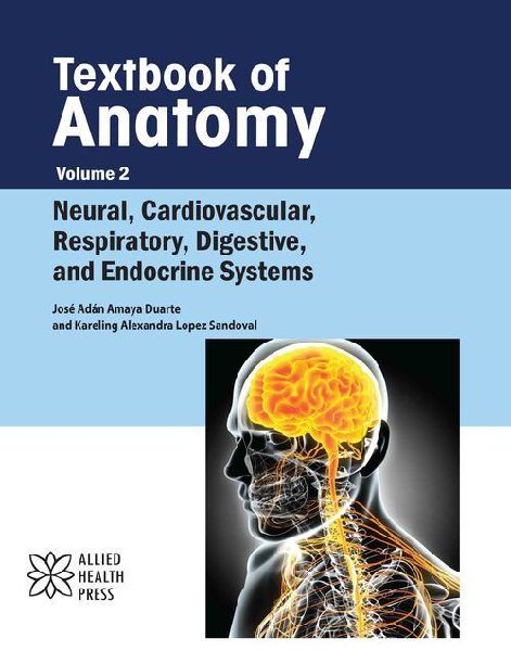 Textbook of Anatomy Volume 2: Neural, Cardiovascular, Respiratory, Digestive, and Endocrine Systems