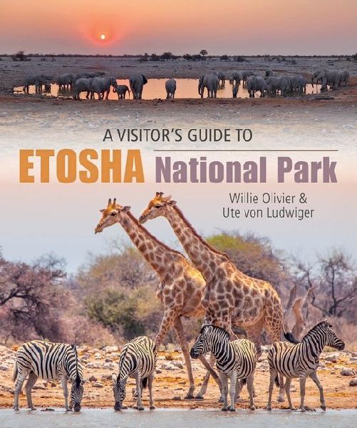 A Visitors Guide to Etosha National Park