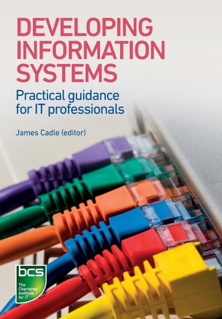 Developing Information Systems: Practical guidance for IT professionals