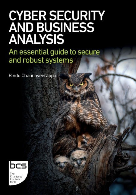 Cyber Security and Business Analysis: An essential guide to secure and robust systems