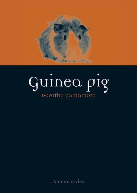 Guinea Pig