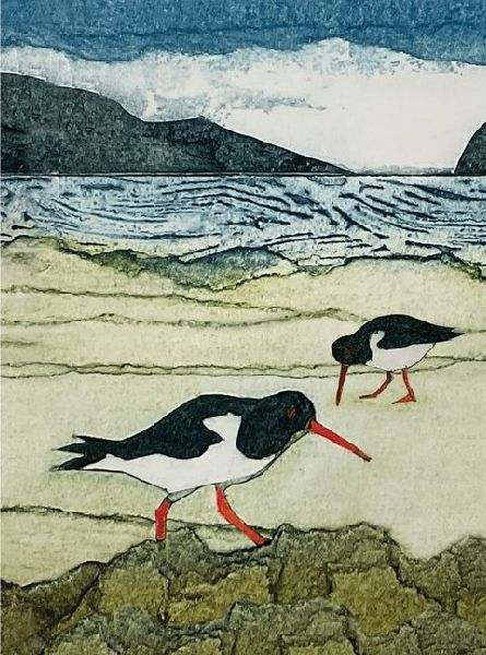 Wild Birds Pocket Notebook: Oystercatcher