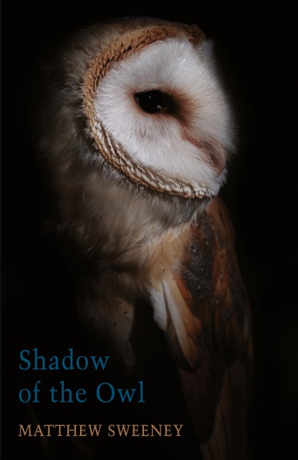 Shadow of the Owl