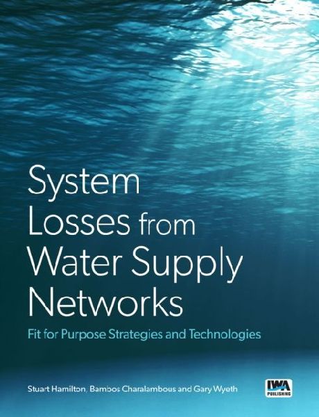 Improving Water Supply Networks: Fit for Purpose Strategies and Technologies