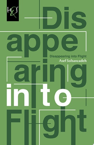 Disappearing Into Flight