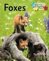 Foxes: Phonics Phase 5