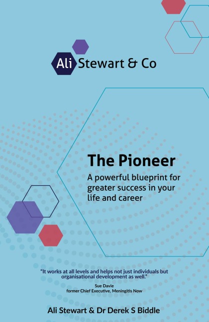 The Pioneer: A powerful blueprint for greater success in your life and career