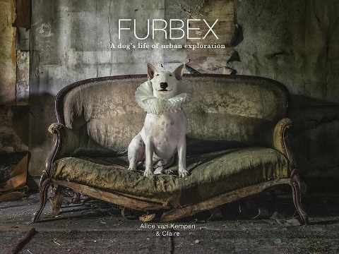 Furbex: A Dogs Life of Urban Exploration