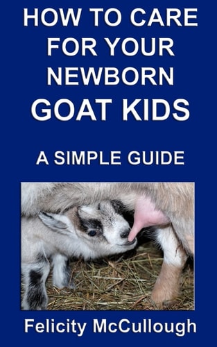 How to Care for Your Newborn Goat Kids a Simple Guide Goat Knowledge