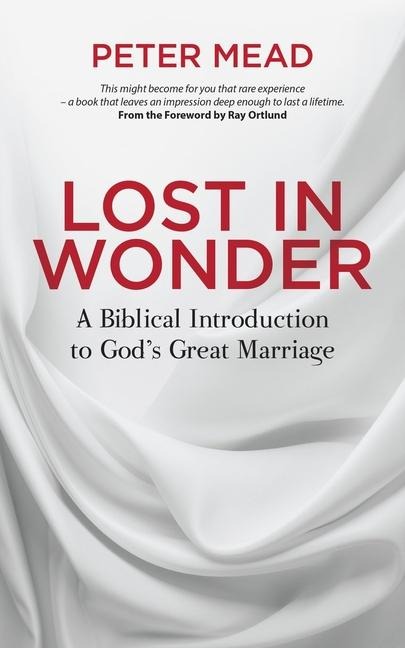 Lost in Wonder: A Biblical Introduction to Gods Great Marriage