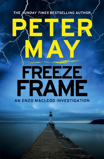 Freeze Frame: An engrossing instalment in the cold-case Enzo series (The Enzo Files Book 4)