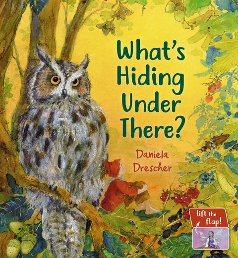 Whats Hiding Under There?: A Magical Lift-the-Flap Book