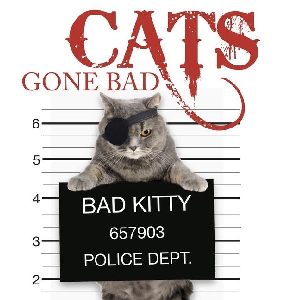 Cats Gone Bad