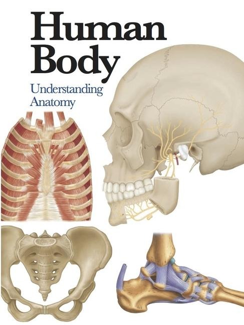 Human Body: Understanding Anatomy