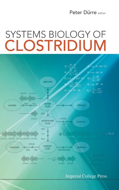 SYSTEMS BIOLOGY OF CLOSTRIDIUM