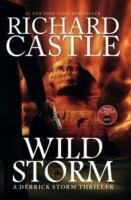 Wild Storm: A Derrick Storm Novel