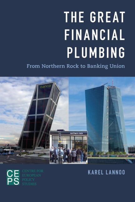 Great Financial Plumbing: From Northern Rock to Banking Union