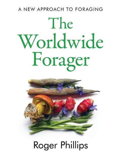 The Worldwide Forager: A New Approach to Foraging