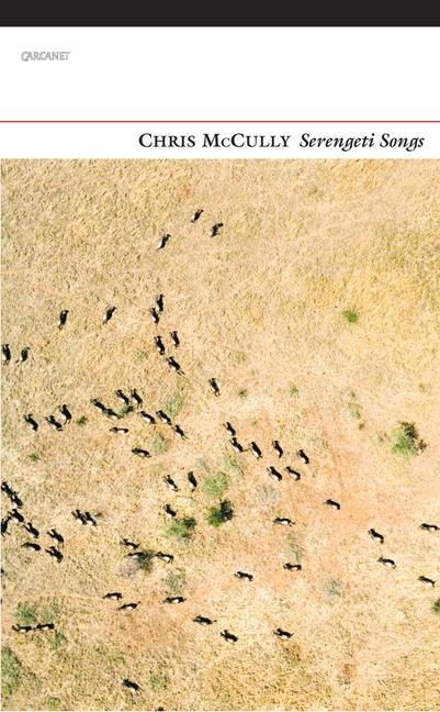 Serengeti Songs