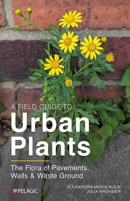 A Field Guide to Urban Plants: Common Species of Pavements, Walls and Waste Ground