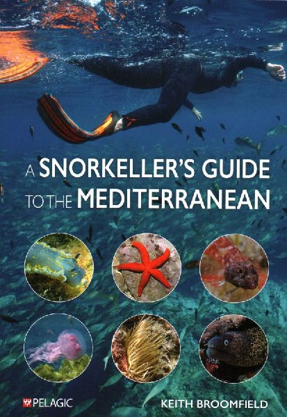Snorkellers Guide to the Mediterranean: A Photographic Id Guide to the Most Commonly Encountered Marine Species
