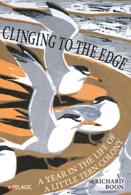 Clinging to the Edge: A Year in the Life of a Little Tern Colony