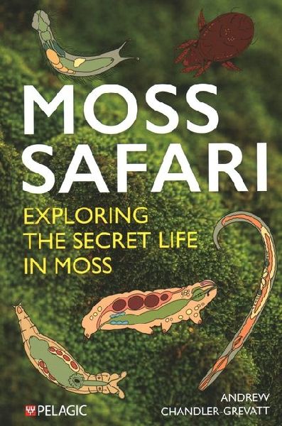 Moss Safari: Exploring the Secret Life in Moss