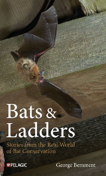 Bats & Ladders: Stories from the Real World of Bat Conservation